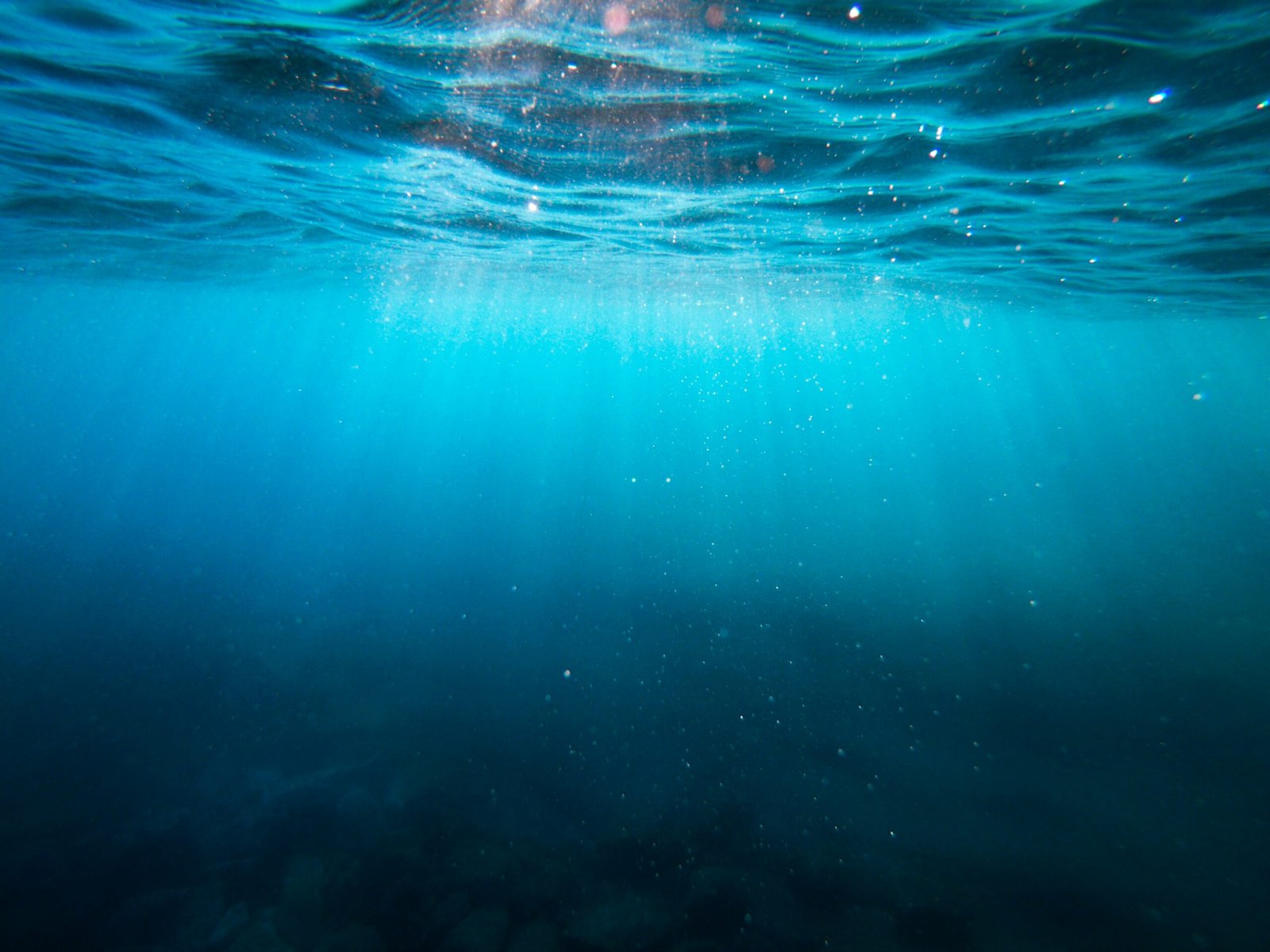 cristian palmer xexawgzyobc unsplash