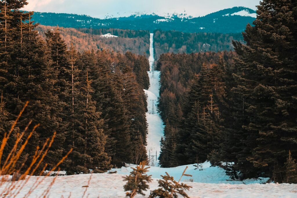 enes kup 5cpt jjzads unsplash