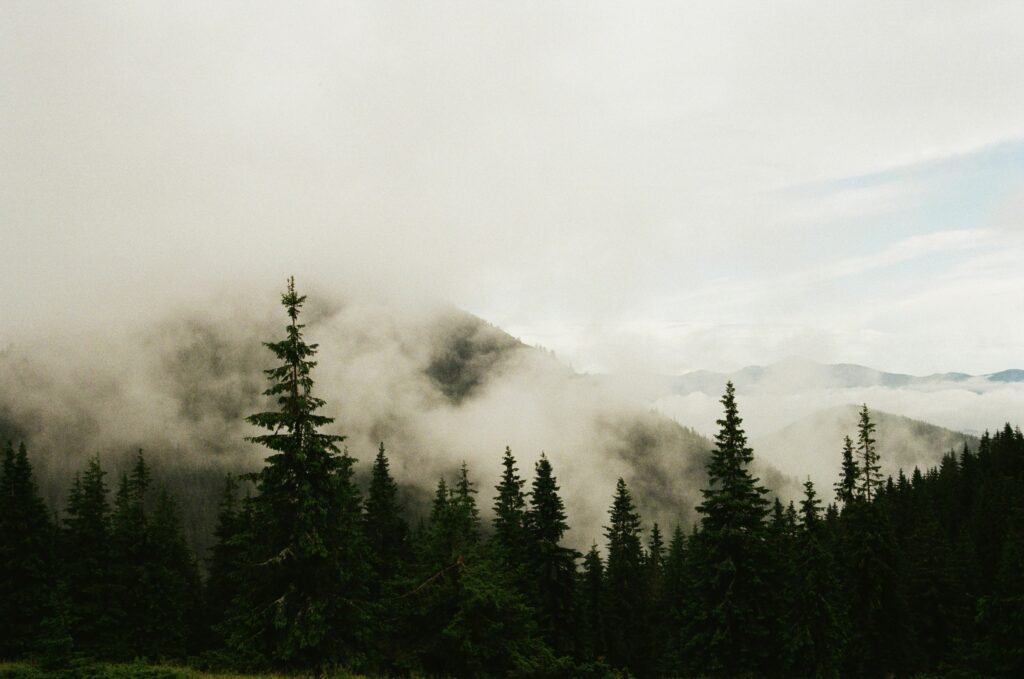 kseniia rastvorova u2awijfuns4 unsplash